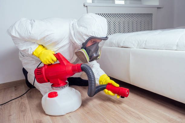 Best Affordable Pest Control Services  in Marion, PA