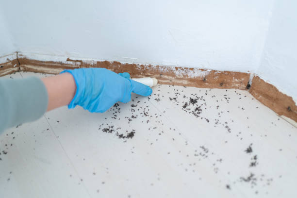 Best Pest Prevention Services  in Marion, PA